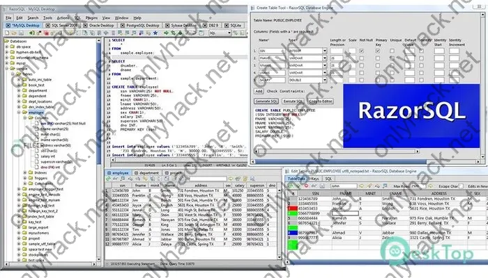 Richardson Software Razorsql Crack